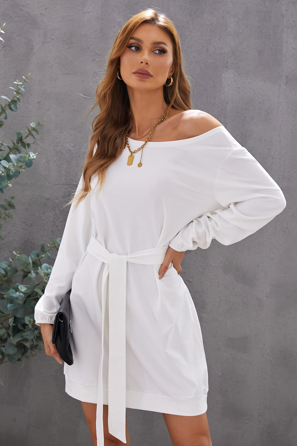 Boat Neck Belted Long Sleeve Dress